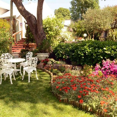 Van Dykshuis Guest House Heidelberg  Esterno foto